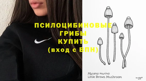 тгк Абдулино