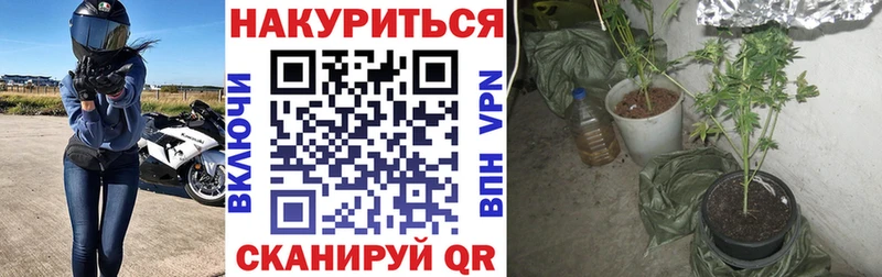Каннабис тримм  Кашира 